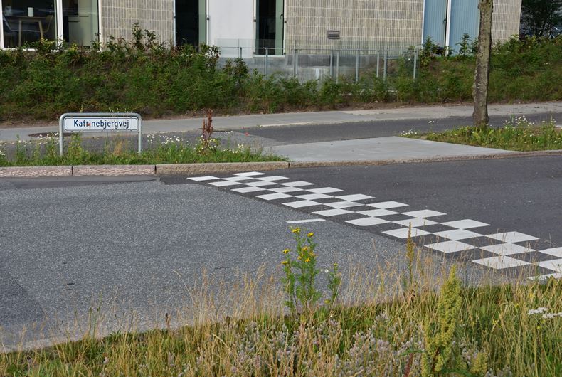 Katrinebjergvej, Hastighedsdæmpning