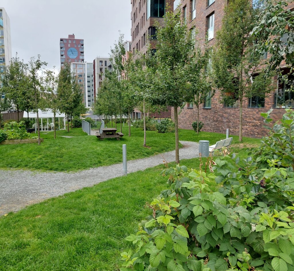 Vedligeholdelse Ø-linjen, Aarhus Ø